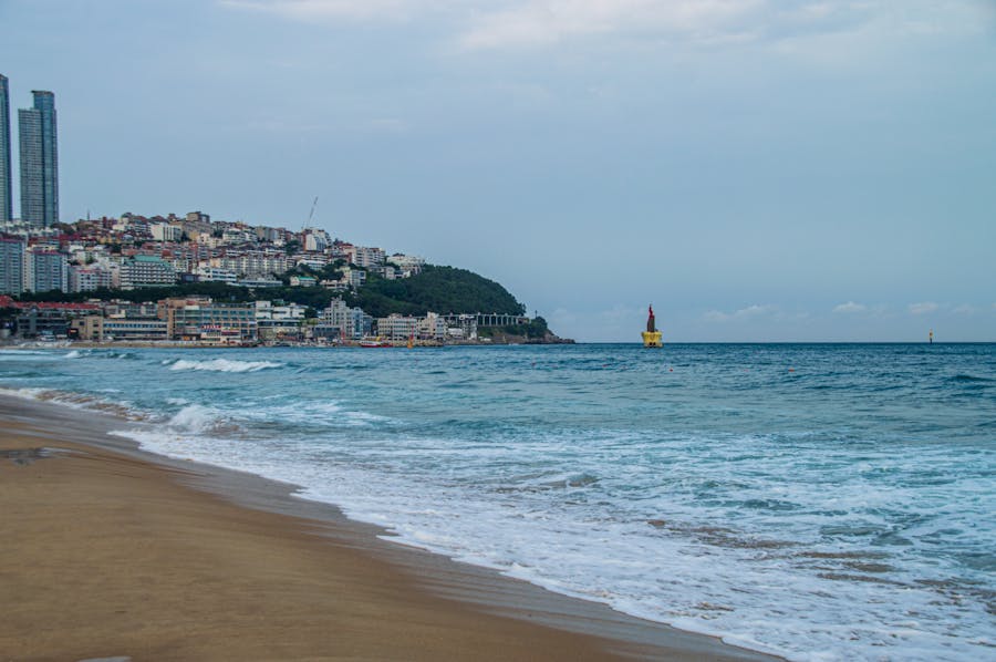 韩国大会现场实景